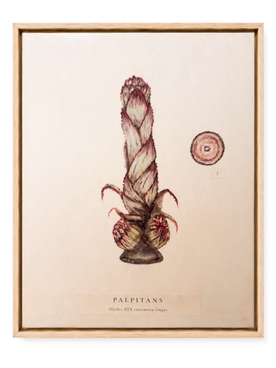 10-palpitans-1