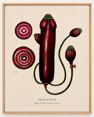 5-blowup